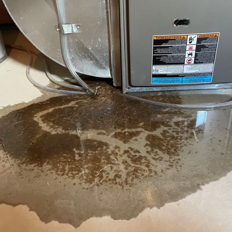 Pipe Burst and Leak Restoration in Raven, VA