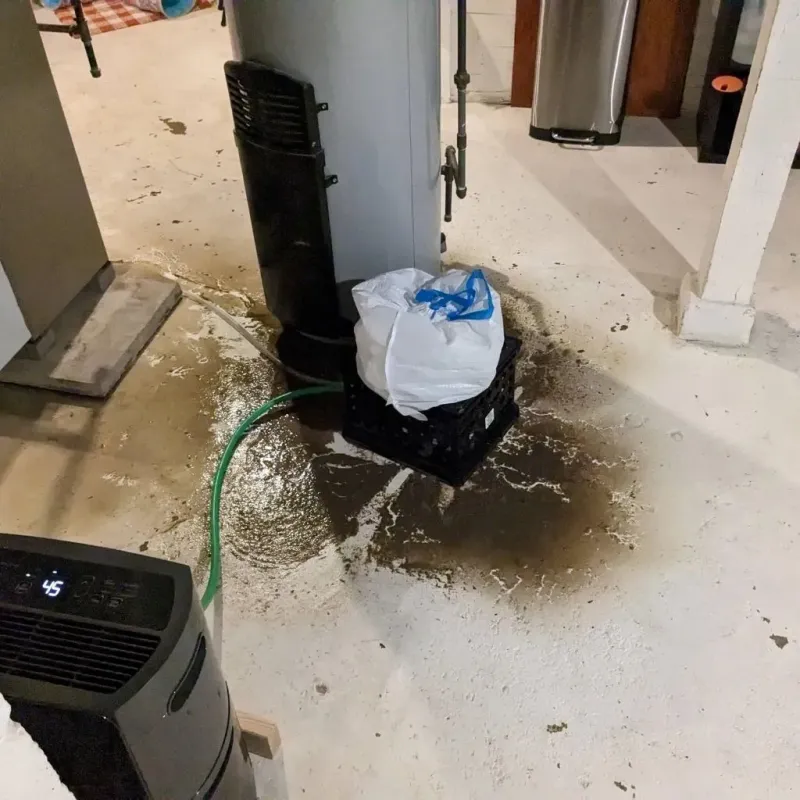 Sewage Backup Cleanup Service in Raven, VA
